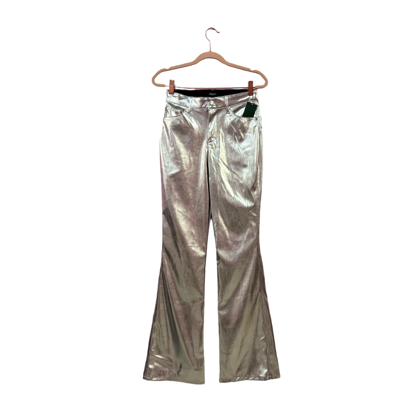 Wild Fable Metallic Pants